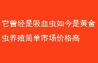 Ѫǻƽֳг۸