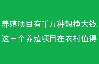 ֳĿǧǮֳĿũֵѡ