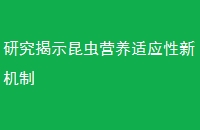 оʾӪӦ»