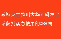 ˹ﴨзȫʹõXBBڳɶ츮ǵ