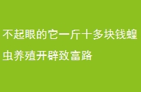 ۵һʮǮȳֳ¸·