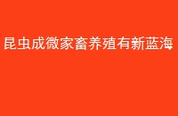 ΢ֳ