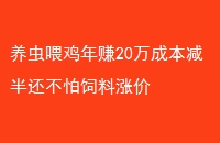 ι׬20ɱ뻹Ǽ