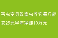 ¸ÿ25Ԫ꾻׬10Ԫ