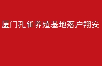 ſȸֳ仧谲