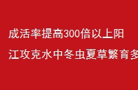 ɻ300ˮжĲݷѹ