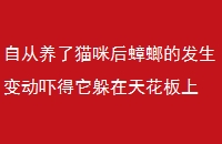 Դèķ䶯ŵ컨