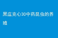 ׯ30ҩֳ