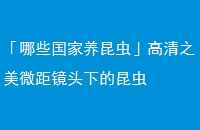 Щ桹֮΢ྵͷµ