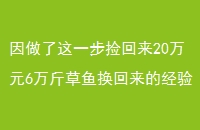 һ20Ԫ6㻻ľ