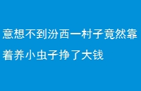 벻һӾȻС˴Ǯ