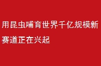 沸ǧڹģ