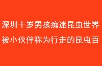 ʮк类СΪߵٿȫ