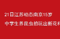 21սն̬Ͼ15ѧ»