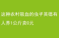 ũѪĳӢ10Ԫ