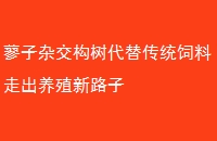 ޤӽ洫ͳֳ߳·
