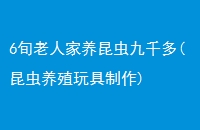 6Ѯ˼ǧ(ֳ)