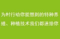 Ϊж뵽ֲֳǶ͸