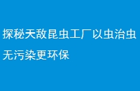 ̽湤ԳγȾ