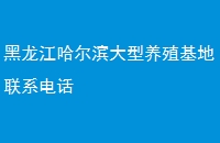 ֳϵ绰